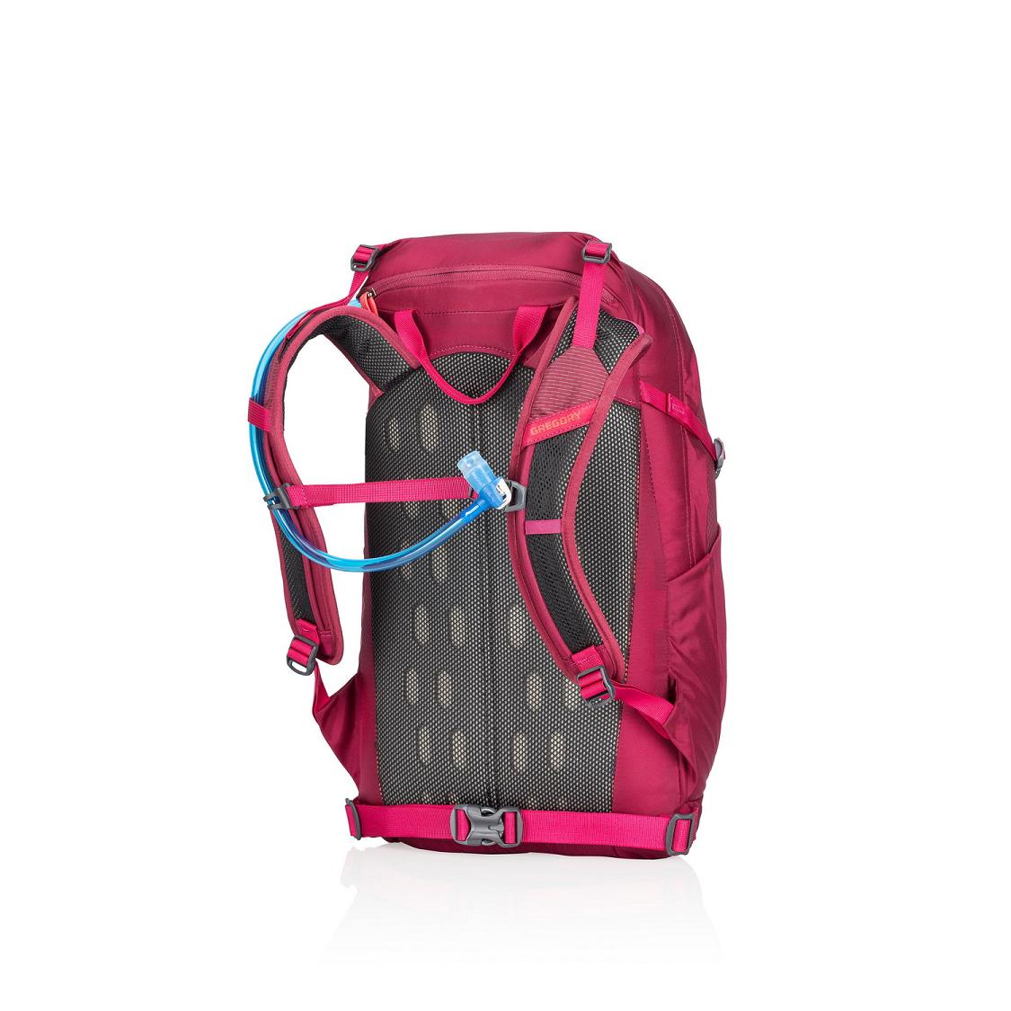 Gregory Swift 20 H20 Hiking Backpack Women Red Ireland 0578YCOHX